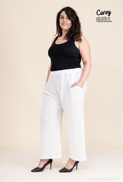Picture of CURVY GIRL LOOSE PLEATED TROUSER